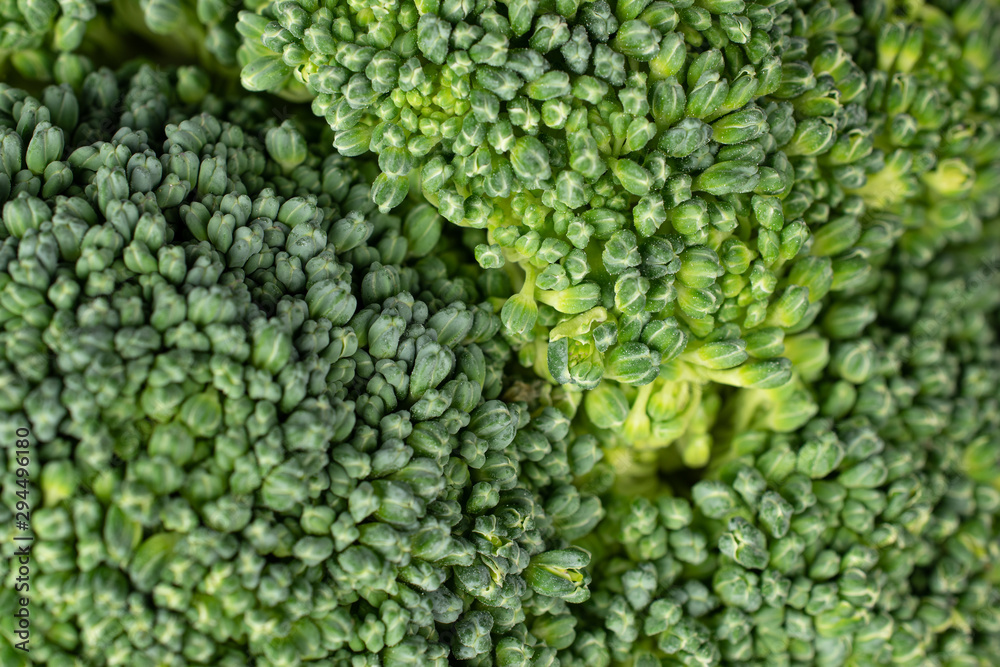 One whole fresh green broccoli macro isolated