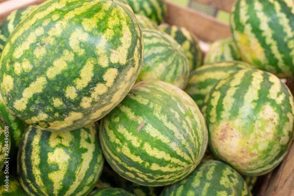 Large watermelons, in a box, in a supermarket.