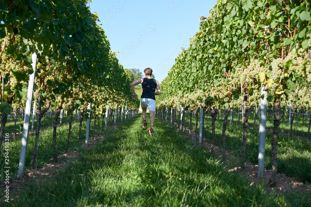 Man running uphill in vineyards 