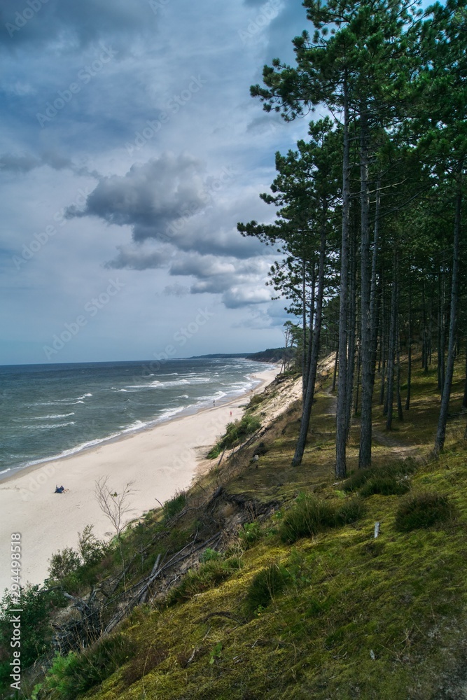 widok w słoneczny dzień na pustą plażę bałtycką w okolicach Ustki i gęsty sosnowy las na wysokim brzegu