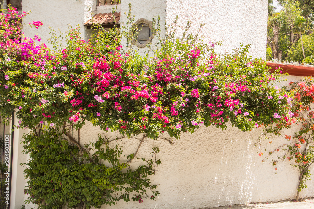 Naklejka premium PASEO POR SAN MIGUEL DE ALLENDE