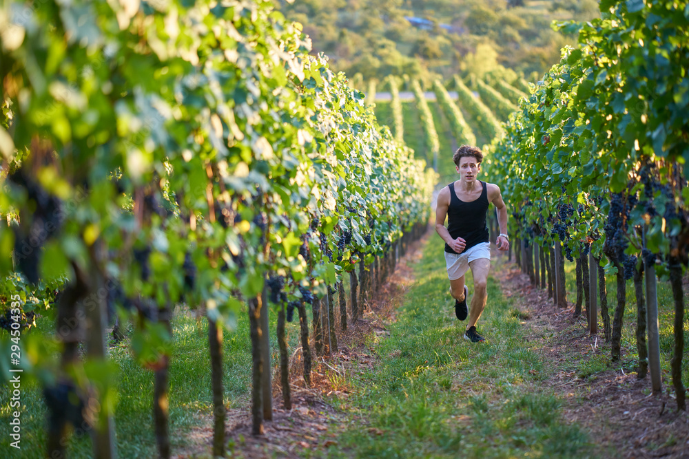 Obraz premium jogger running uphill in beautiful nature with view