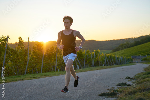 jogger in green vineyard at sunset 