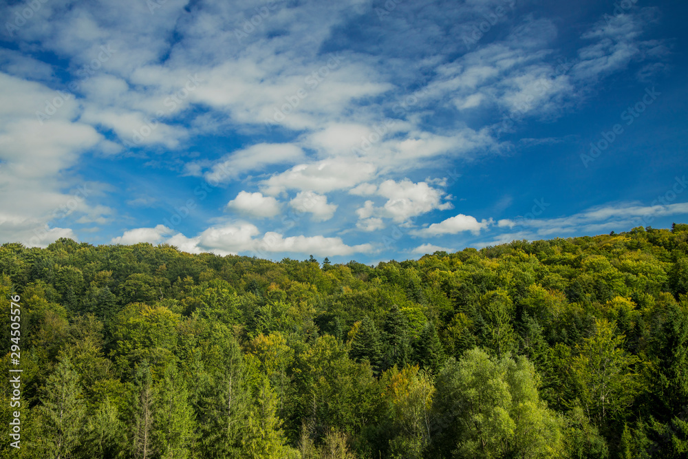 horizontal nature scenery landscape wallpaper pattern view of fores top green trees foliage and vivid blue sky white clouds background copy space for your text or inscription horizontal nature scenery landscape wallpaper pattern view of fores top green trees foliage and vivid blue sky white clouds background copy space for your text or inscription
