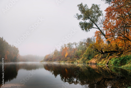 Thick colourful forest and river Gauja in autumn season in Gauja National Park, Sigulda, Latvia.