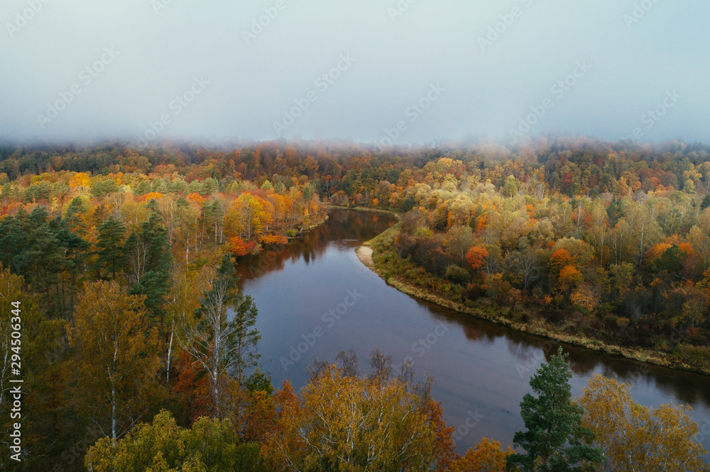 Thick colourful forest and river Gauja in autumn season in Gauja National Park, Sigulda, Latvia.