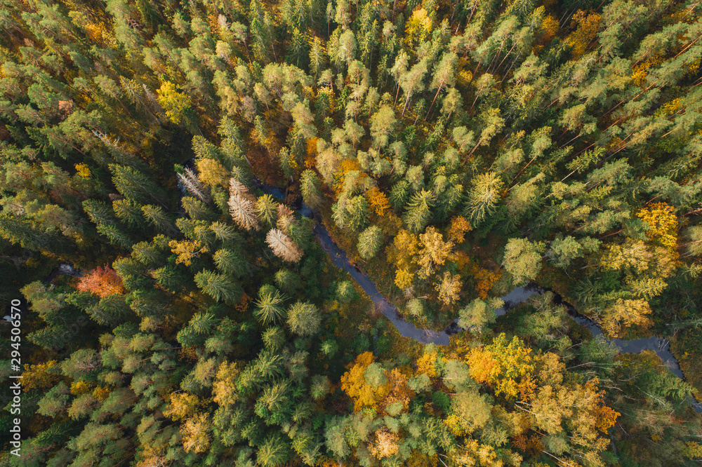 Aerial view of thick forest in colourful autumn with a small river cutting through. Aerial view of thick forest in colourful autumn with a small river cutting through.