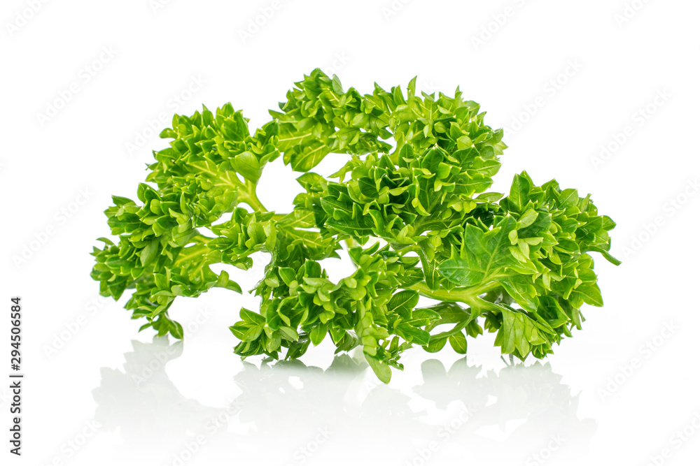 Obraz premium One whole fresh green parsley isolated on white background