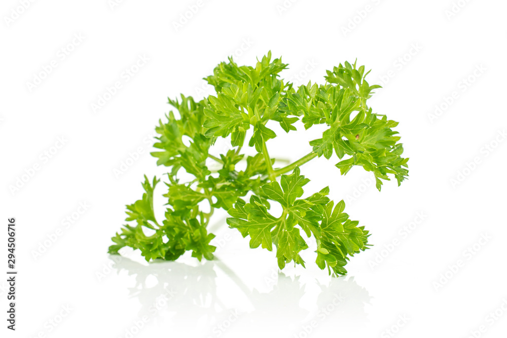 Fototapeta premium One piece of fresh green parsley isolated on white background