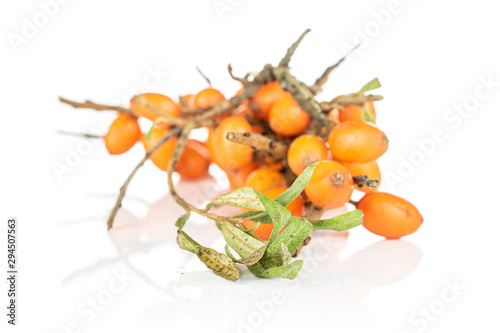 Lot of whole ripe orange sea buckthorn berry bunch isolated on white background photo