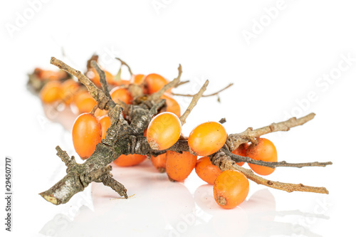 Lot of whole light ripe orange sea buckthorn berry bunch isolated on white background photo