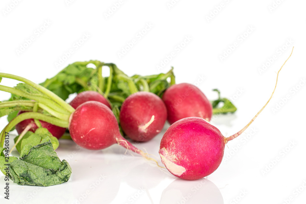 Group of four whole fresh red radish isolated on white background