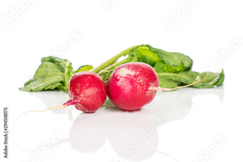 Group of two whole fresh red radish isolated on white background