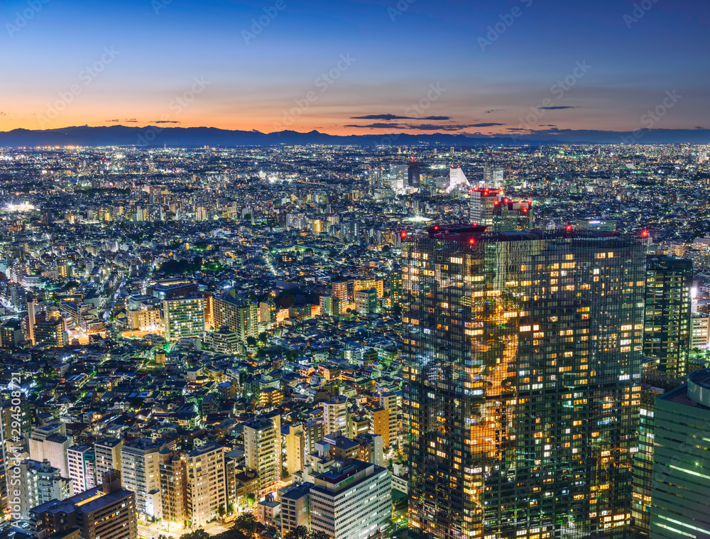 Obraz premium 東京夕景