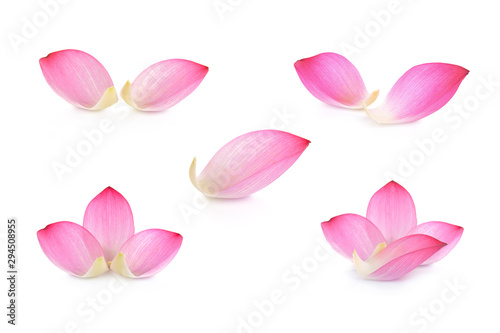 Lotus petal on white background