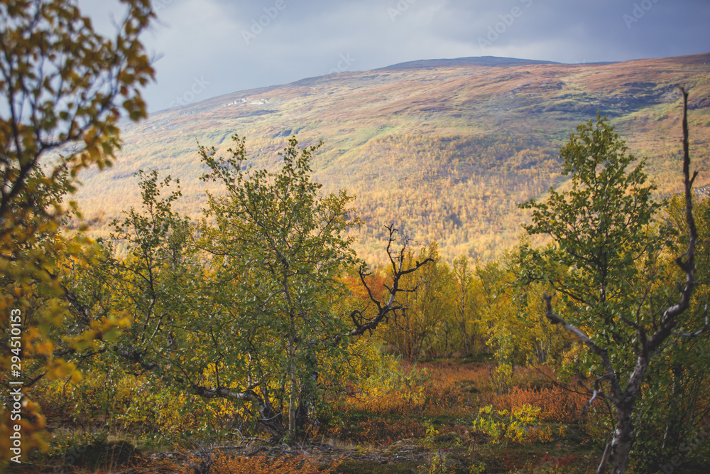 Sunny fall autumn view of Abisko National Park, Kiruna Municipality, Lapland, Norrbotten County, Sweden, with Abiskojokk river, road and Nuolja mountain, near border of Finland, Sweden and Norway Sunny fall autumn view of Abisko National Park, Kiruna Municipality, Lapland, Norrbotten County, Sweden, with Abiskojokk river, road and Nuolja mountain, near border of Finland, Sweden and Norway