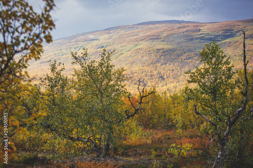 Sunny fall autumn view of Abisko National Park, Kiruna Municipality, Lapland, Norrbotten County, Sweden, with Abiskojokk river, road and Nuolja mountain, near border of Finland, Sweden and Norway