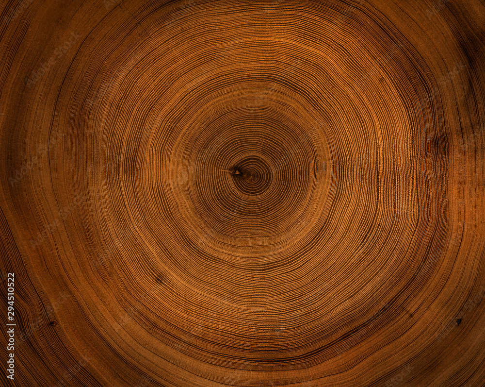 Old wooden mahogany tree cut surface. Detailed warm dark brown and orange tones of a felled tree trunk or stump. Rough organic texture of tree rings with close up of end grain. Old wooden mahogany tree cut surface. Detailed warm dark brown and orange tones of a felled tree trunk or stump. Rough organic texture of tree rings with close up of end grain.