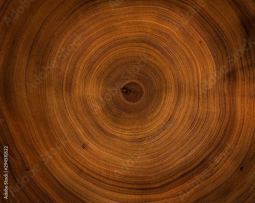 Old wooden mahogany tree cut surface. Detailed warm dark brown and orange tones of a felled tree trunk or stump. Rough organic texture of tree rings with close up of end grain. photo