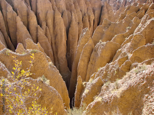 Bolivia, Tupiza scenic landscapes of Palala Canyon (Quebrada Palala) photo