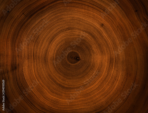 Old wooden mahogany tree cut surface. Detailed warm dark brown and orange tones of a felled tree trunk or stump. Rough organic texture of tree rings with close up of end grain. photo
