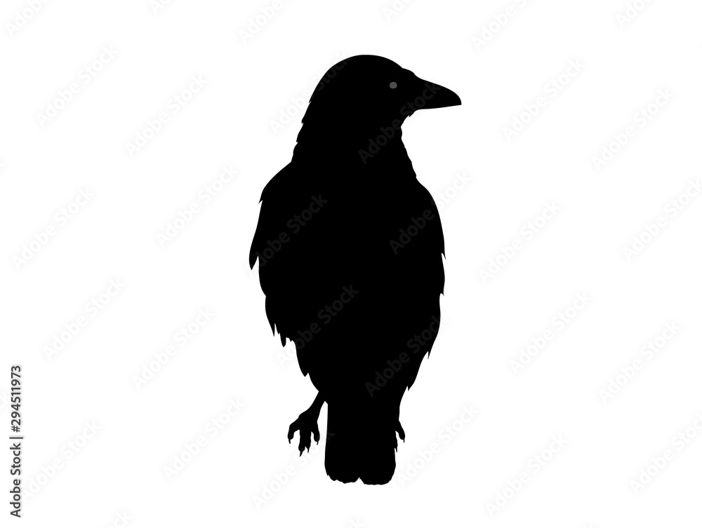 Fototapeta premium Rabenvogel Silhouette, Vektor Illustration isoliert auf weißem Hintergrund