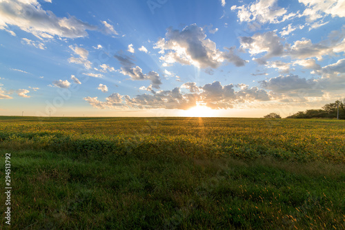 Photography Sunrise Over Field