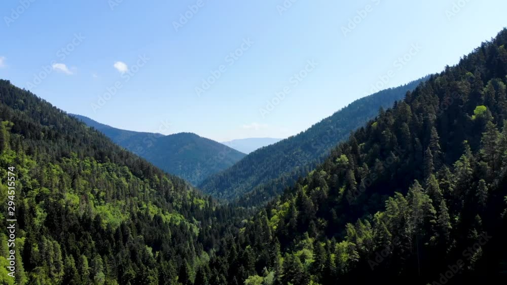 Aerial flight over forward to the mountain pine forest in reserve Borjomi, Georgia. Daylight illuminates a coniferous forest and mountains in the distance. Taken by drone at noon Aerial flight over forward to the mountain pine forest in reserve Borjomi, Georgia. Daylight illuminates a coniferous forest and mountains in the distance. Taken by drone at noon