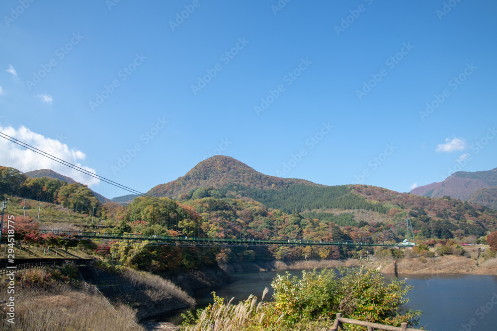 もみじ谷大吊橋