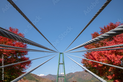 もみじ谷大吊橋