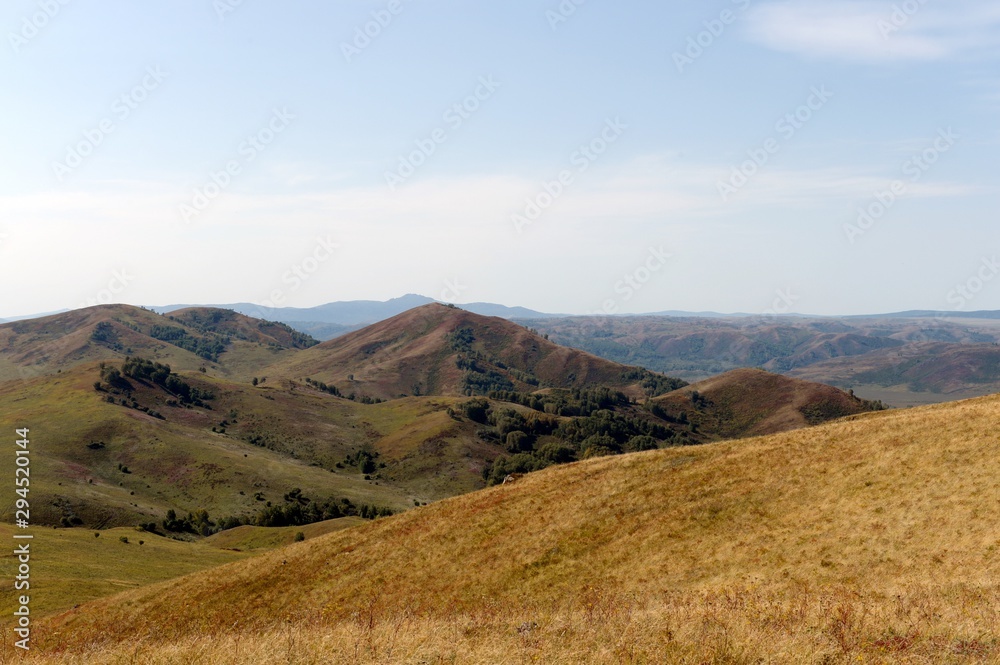   Foothills of the Altai Mountains. Western Siberia. Russia