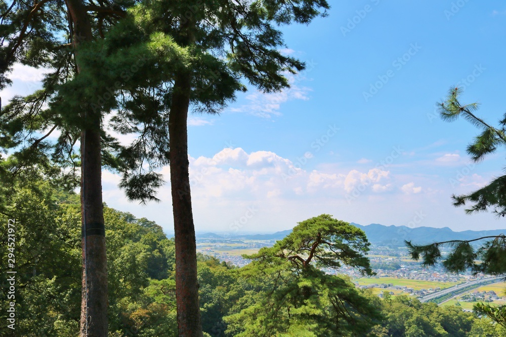 空　緑　秋　風景　杤木