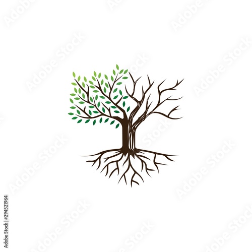 Life and die tree illustration logo design template
