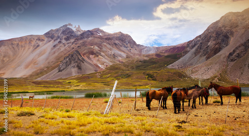 Andes near Las Lenas photo