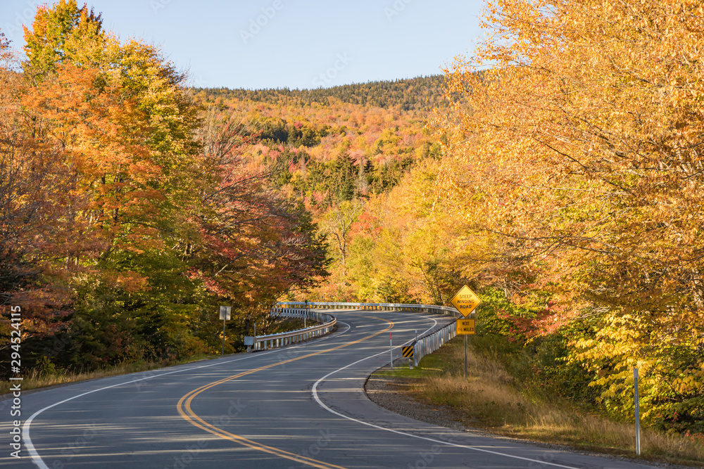 Autumn roads with amazing colors on both sides Autumn roads with amazing colors on both sides