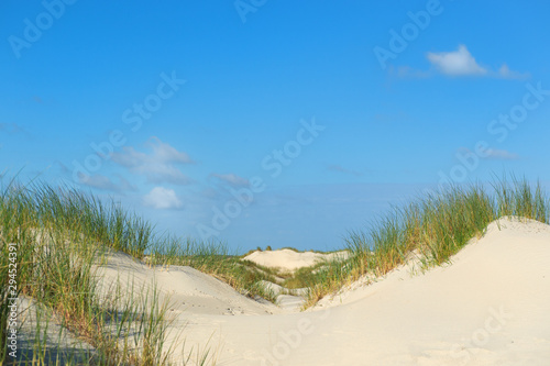 Sand dunes in summer