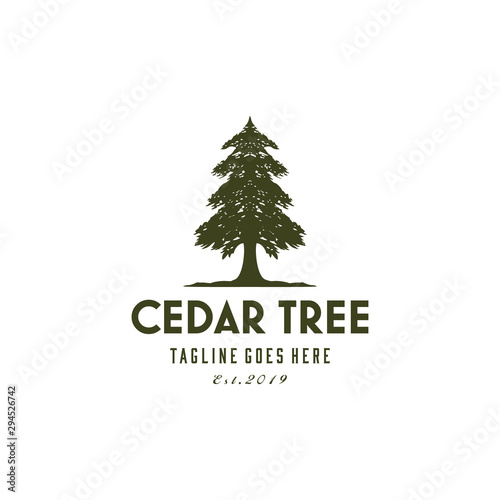 Ilustration Rustic Retro Vintage Evergreen, Pines, Spruce, Cedar trees logo design photo
