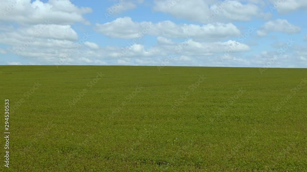 An aerial shot of wheat field ripening at spring season, agricultural landscape. Beautiful view. An aerial shot of wheat field ripening at spring season, agricultural landscape. Beautiful view.