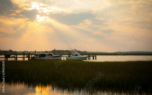 John's Island, SC, USA photo