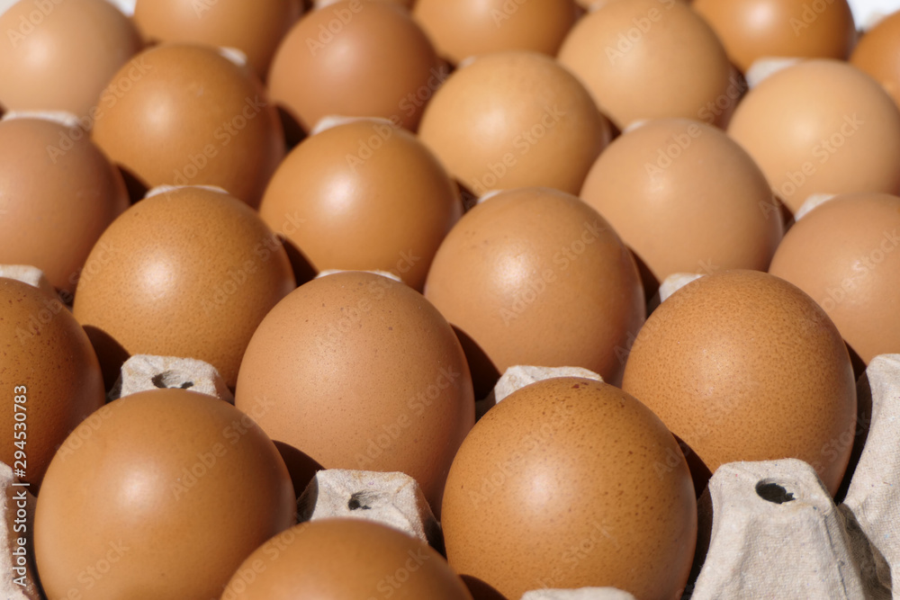 Close up group of chicken egg in egg panel paper. Close up group of chicken egg in egg panel paper.