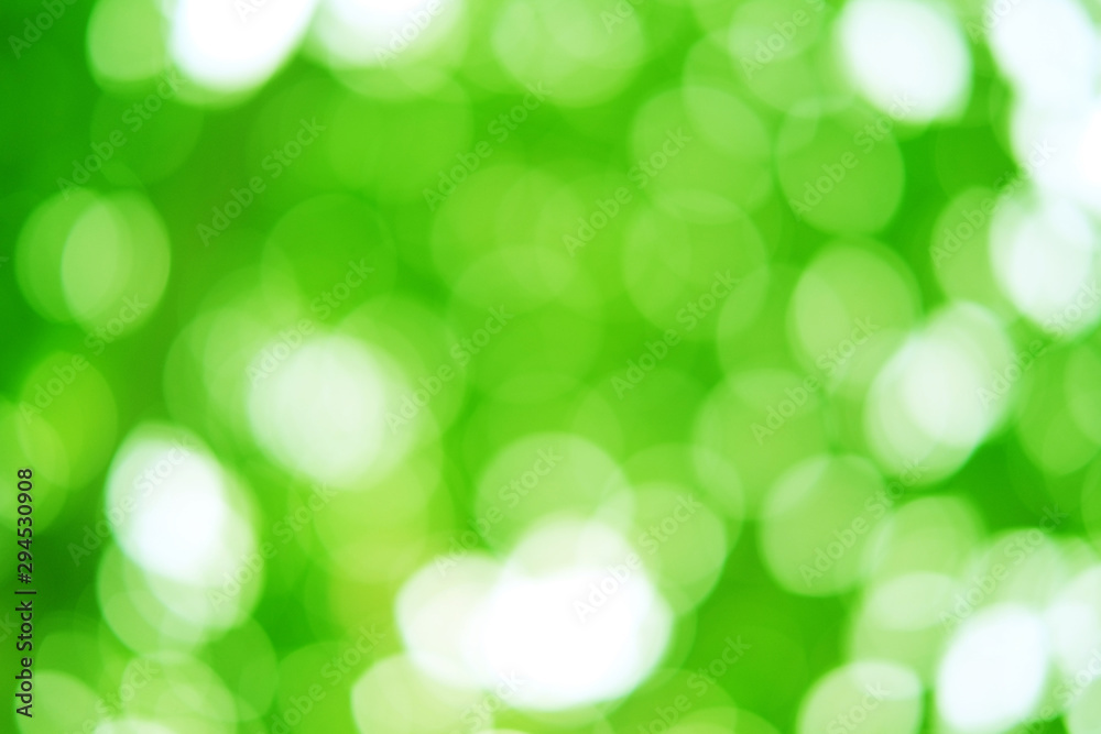 Obraz premium Beautiful natural abstract blur background. Green bokeh light form tree with bright summer sunlight in the garden.