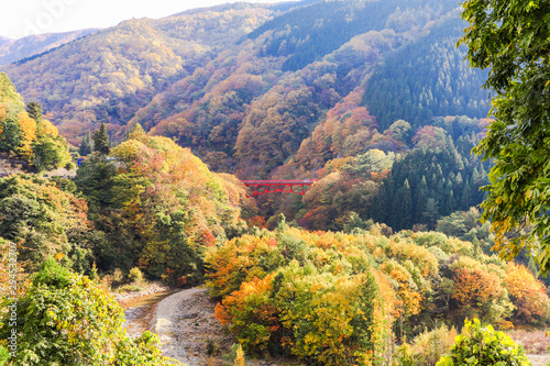  Beautiful mountain view of Japan autumn  Nagano Prefecture Japan.