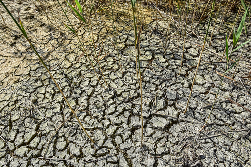 Φωτογραφία Texture of dry cracked soil as on dying lake, ecological catastrophy