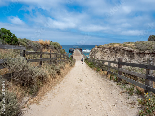 Road at Bechers Bay Pier on a sunny spring day, Santa Rosa Island, Channel Islands National Park, Ventura, California, USA