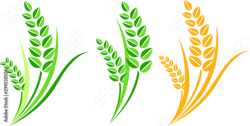 grains vector image easy to edit