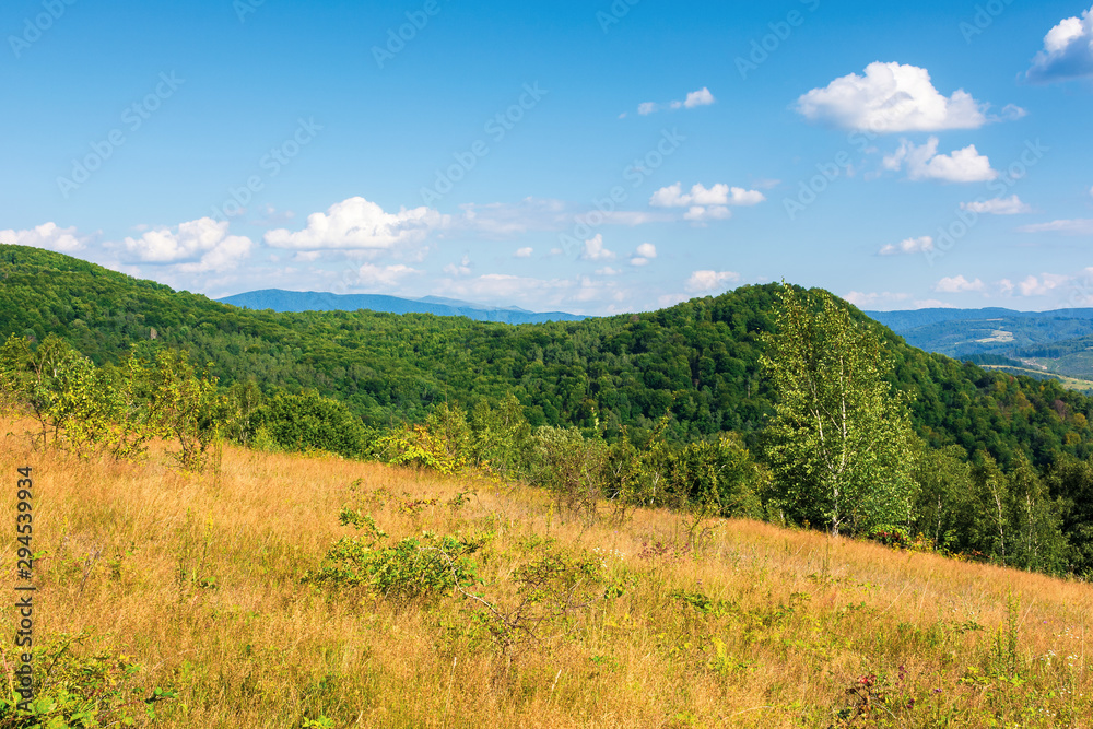 grassy hills of mountain ridge. beautiful nature background grassy hills of mountain ridge. beautiful nature background