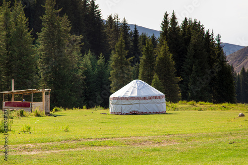 Summer landscape in the mountains. Tall trees of a Christmas tree, the national dwelling is a yurt. Kyrgyzstan Tourism and travel.