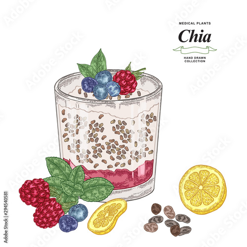 Chia cocktail hand drawn. Colorful chia seeds, raspberry, lemon slice, fresh mint and blueberry isolated on white background. Healthy food collection. Vector illustration.