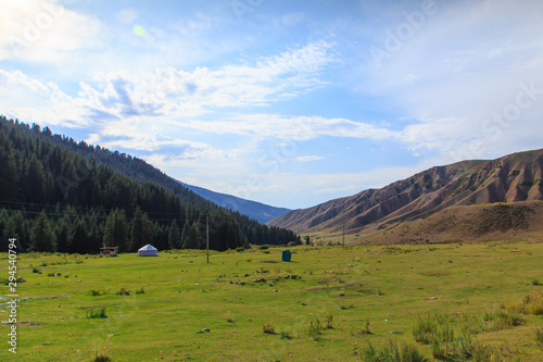 Summer landscape in the mountains. Tall trees of a Christmas tree, the national dwelling is a yurt. Kyrgyzstan Tourism and travel.