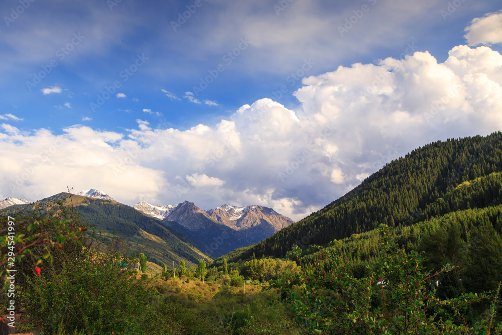 Beautiful mountain landscape. Gorge with a dense forest. Summer landscape. Kyrgyzstan